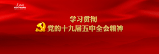 学习贯彻党的十九届五中全会精神